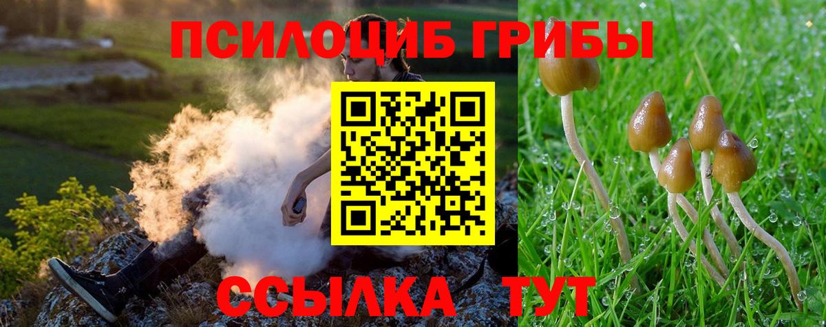 Галлюциногенные грибы Magic Shrooms  Вход с VPN  Брянск 