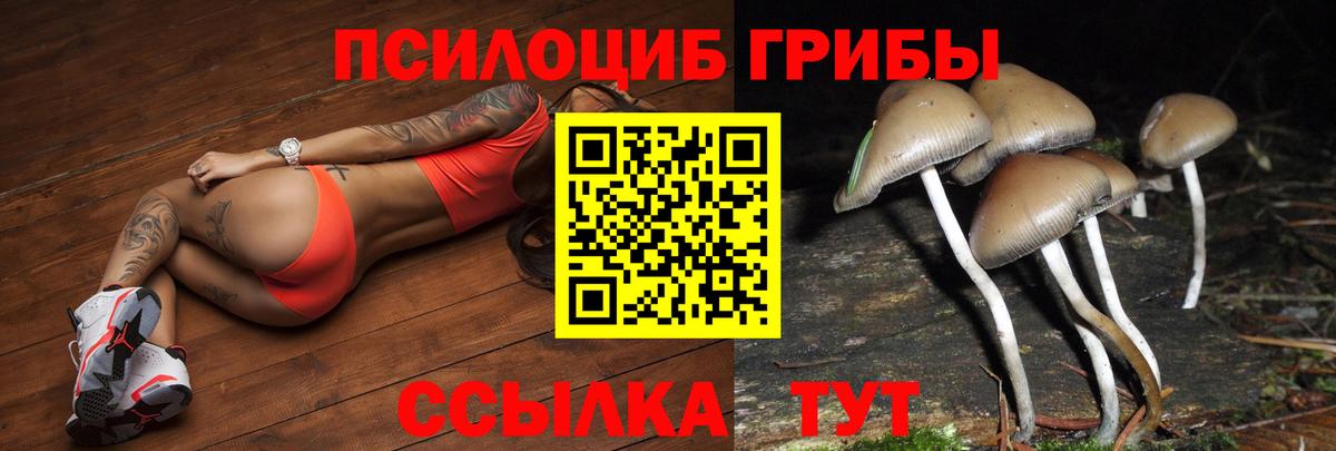 Псилоцибиновые грибы мицелий Брянск